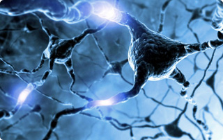 Neurologie